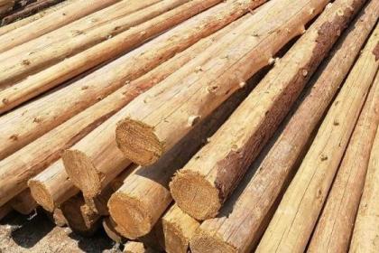 肇庆装修木板木材收购,获得客户高度评价